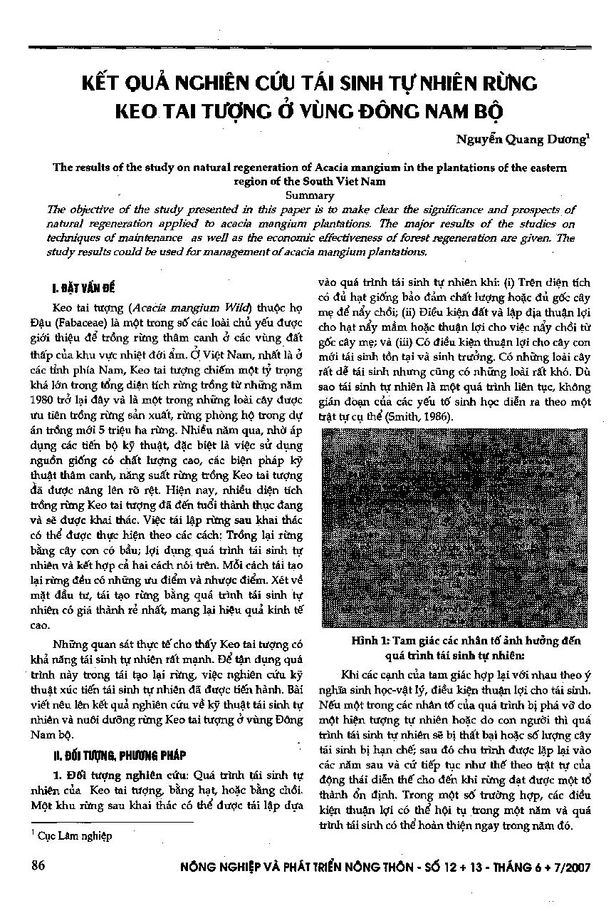 Kết quả nghiên cứu tái sinh tự nhiên rừng keo tai tượng ở vùng Đông Nam Bộ