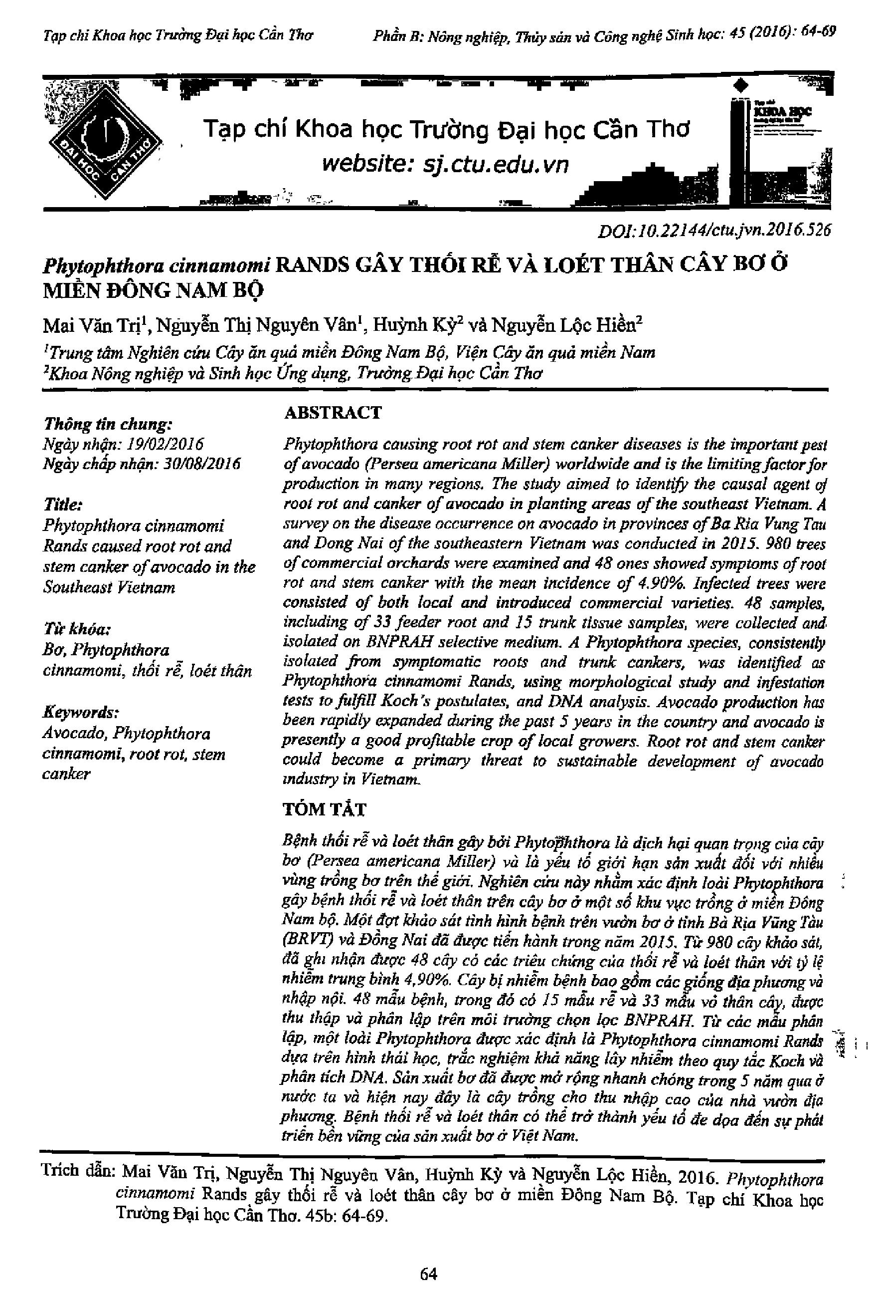 Phytophthora cinnamomi Rands gây thối rễ và loét thân cây bơ ở miền Đông Nam Bộ