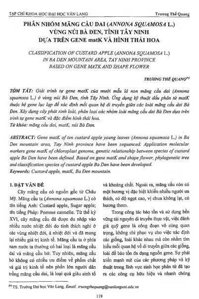 Phân nhóm mãng cầu dai (annona squamosa L.) vùng núi Bà Đen, tỉnh Tây Ninh dựa trên gene matk và hình thái hoa =$bClassification of custard apple (annona squamosa l.) in Ba Den mountain area, Tay Ninh province based on gene matk and shape flower