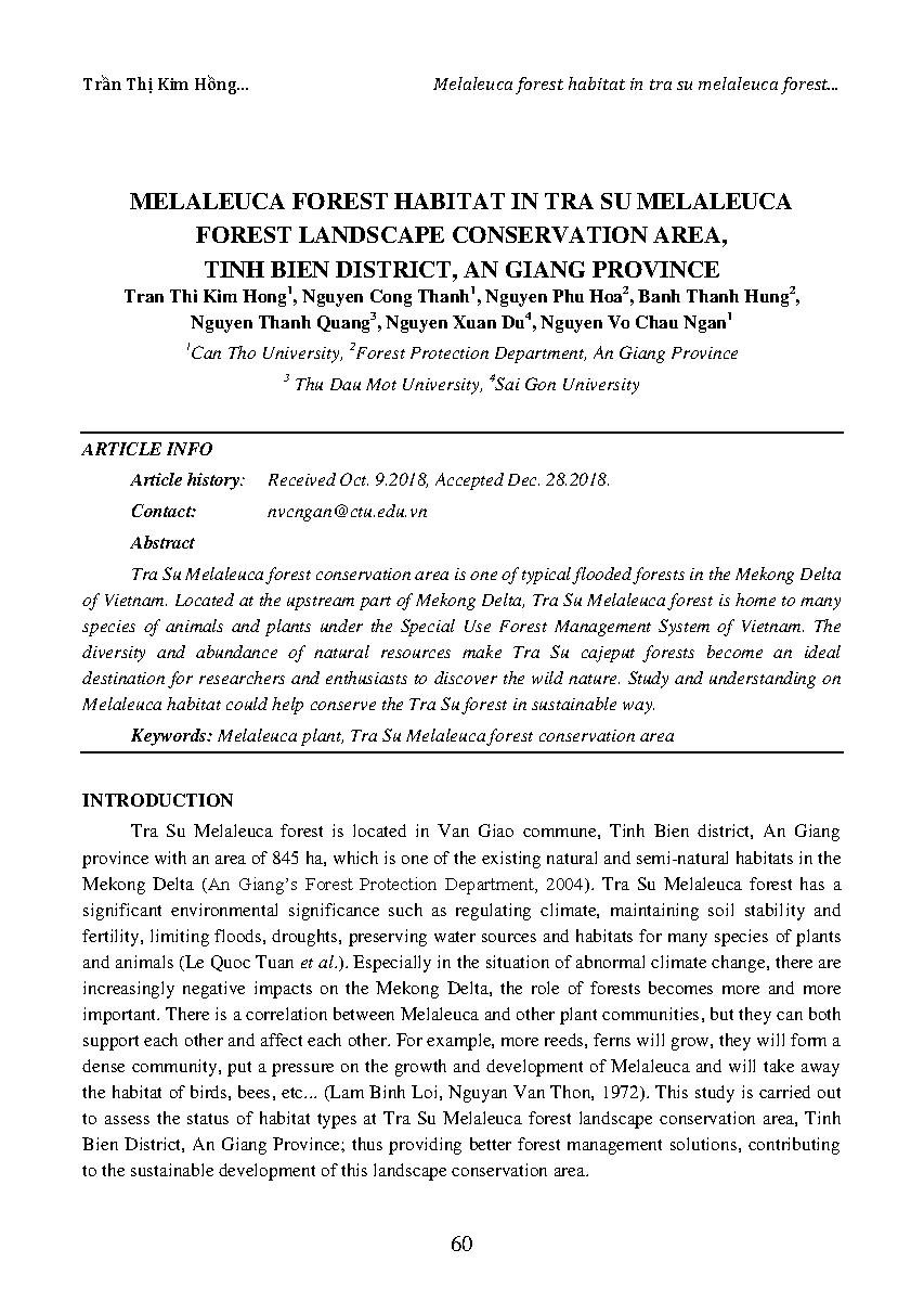 Melaleuca forest habitat in tra su Melaleuca forest landscape conservation area, Tinh Bien district, An Giang province