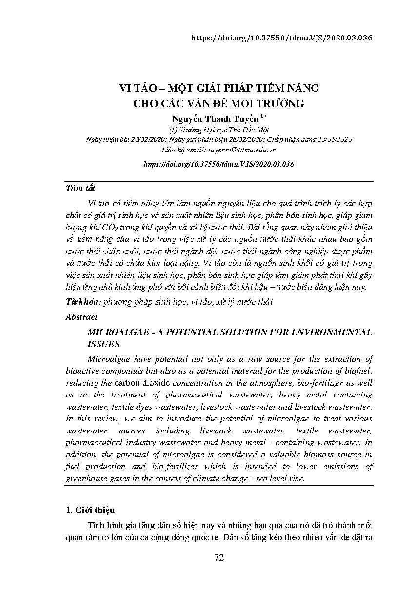 Vi tảo - Một giải pháp tiềm năng cho các vấn đề môi trường