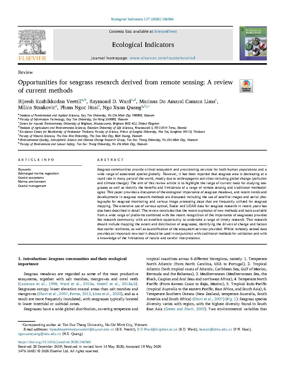 Opportunities for seagrass research derived from remote sensing: A review of current methods